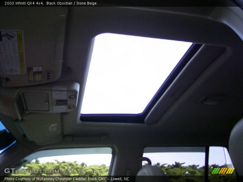 Black Obsidian / Stone Beige 2003 Infiniti QX4 4x4