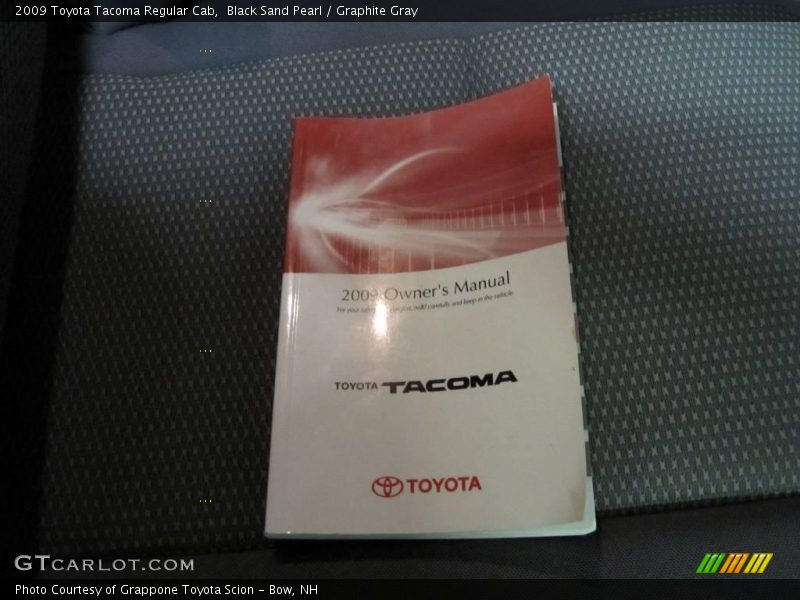 Black Sand Pearl / Graphite Gray 2009 Toyota Tacoma Regular Cab