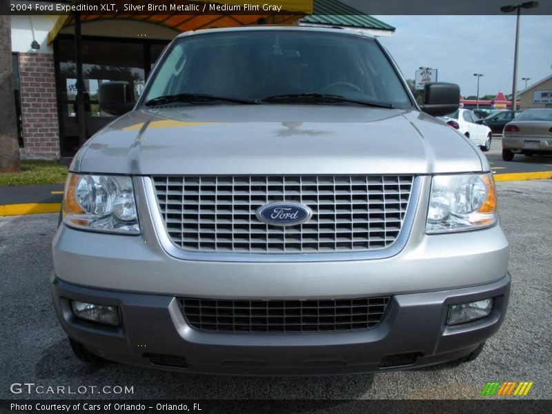 Silver Birch Metallic / Medium Flint Gray 2004 Ford Expedition XLT