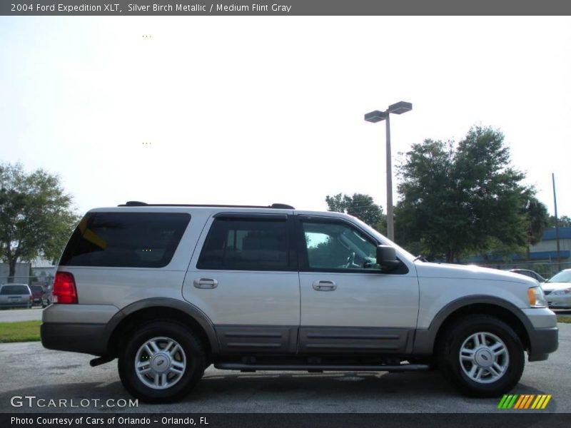 Silver Birch Metallic / Medium Flint Gray 2004 Ford Expedition XLT