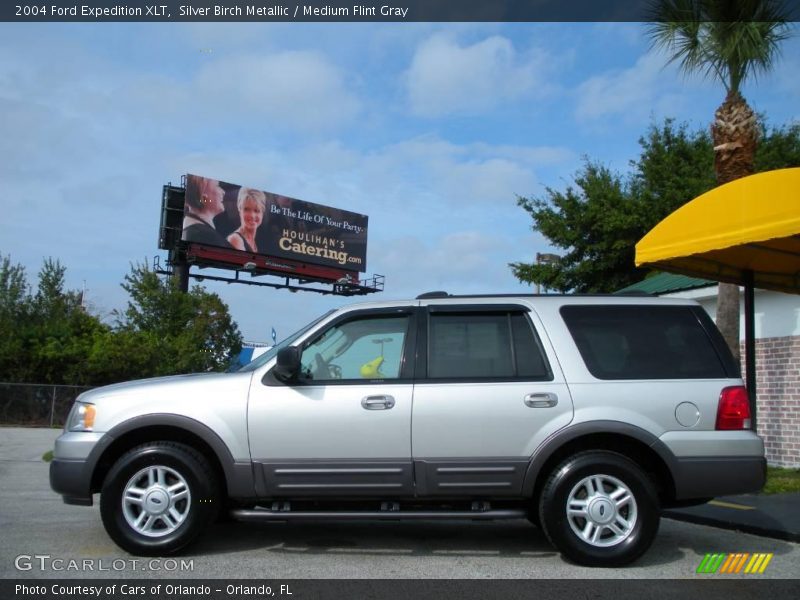 Silver Birch Metallic / Medium Flint Gray 2004 Ford Expedition XLT