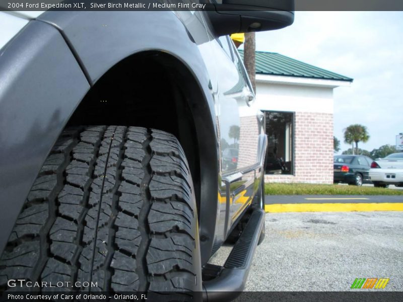 Silver Birch Metallic / Medium Flint Gray 2004 Ford Expedition XLT