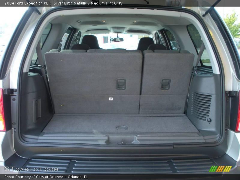 Silver Birch Metallic / Medium Flint Gray 2004 Ford Expedition XLT