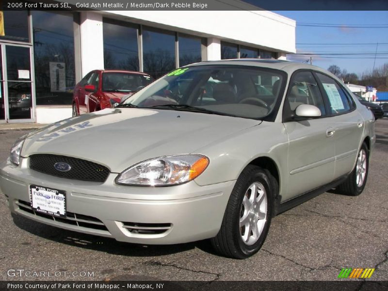 Gold Ash Metallic / Medium/Dark Pebble Beige 2006 Ford Taurus SEL