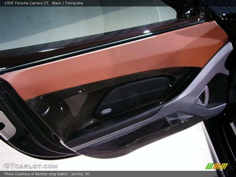Door Panel of 2005 Carrera GT 