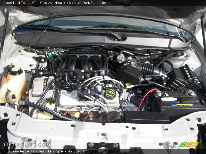 Gold Ash Metallic / Medium/Dark Pebble Beige 2006 Ford Taurus SEL