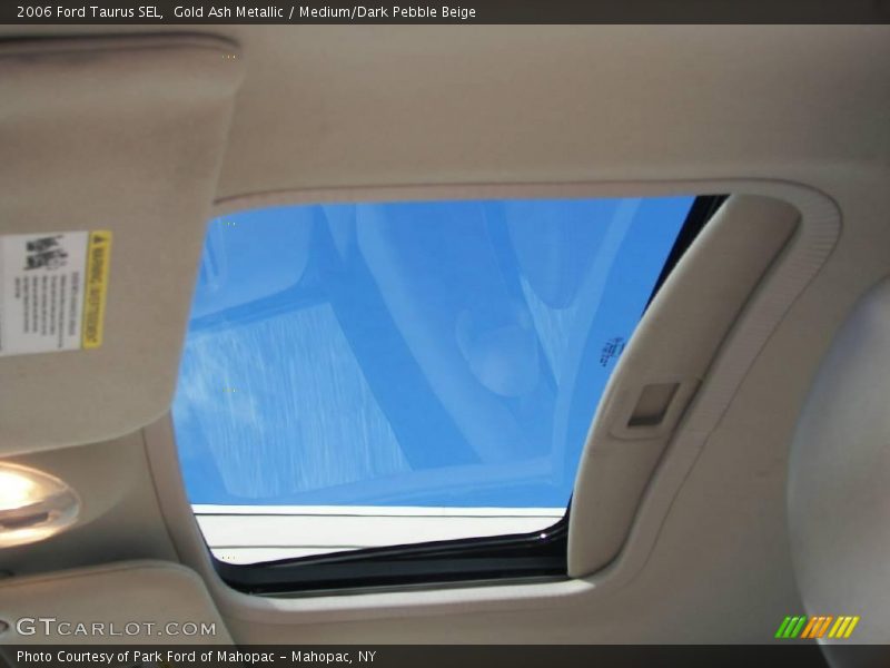 Gold Ash Metallic / Medium/Dark Pebble Beige 2006 Ford Taurus SEL