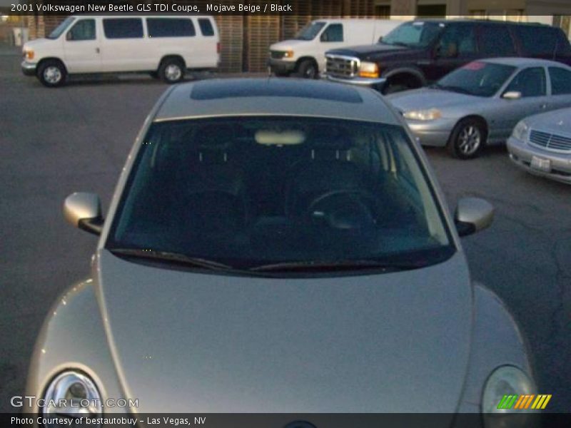 Mojave Beige / Black 2001 Volkswagen New Beetle GLS TDI Coupe