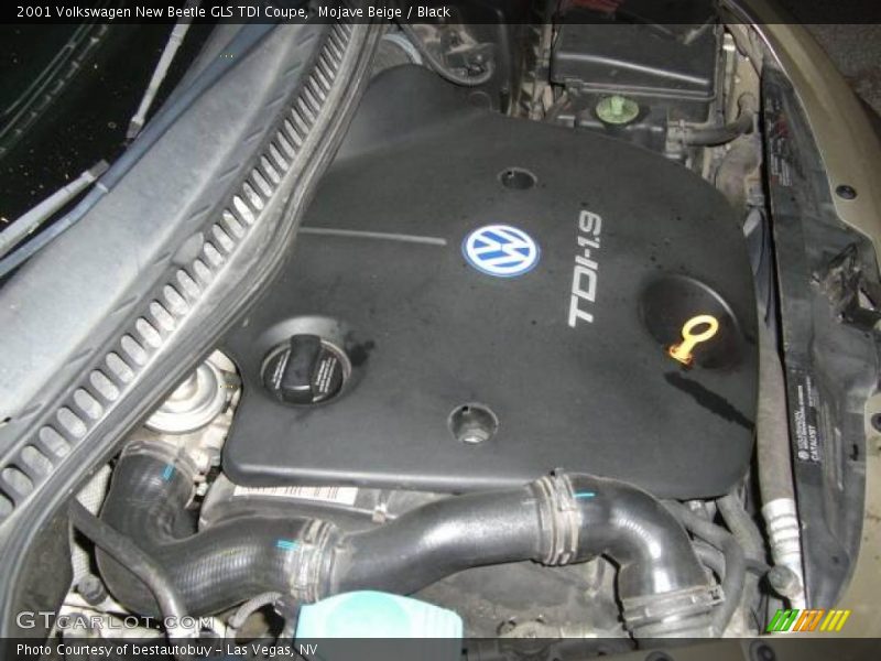 Mojave Beige / Black 2001 Volkswagen New Beetle GLS TDI Coupe