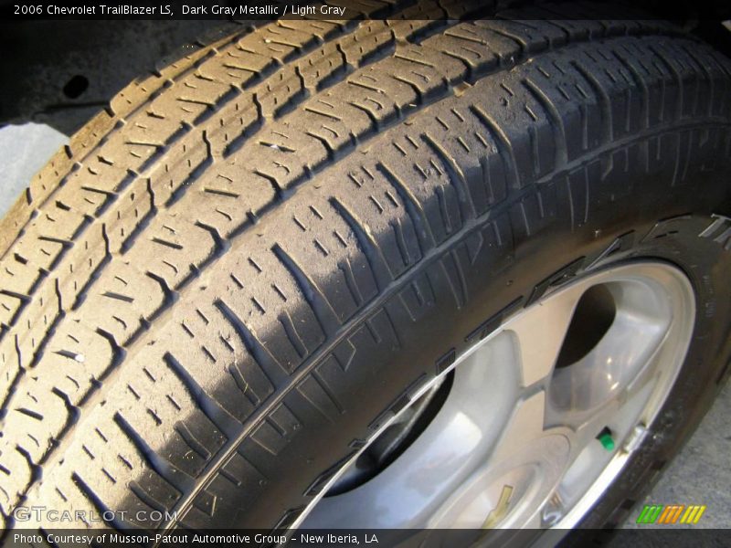 Dark Gray Metallic / Light Gray 2006 Chevrolet TrailBlazer LS