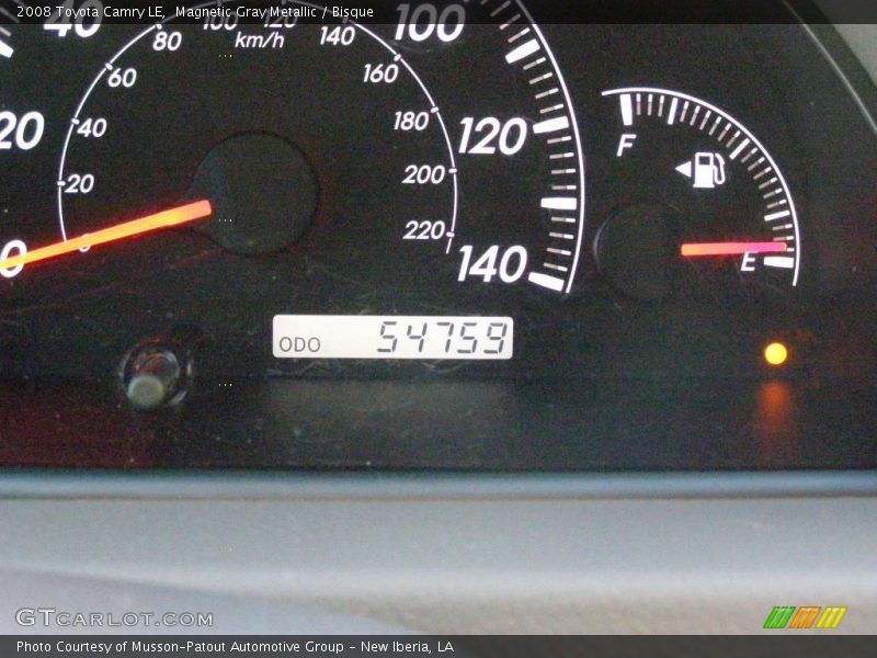 Magnetic Gray Metallic / Bisque 2008 Toyota Camry LE