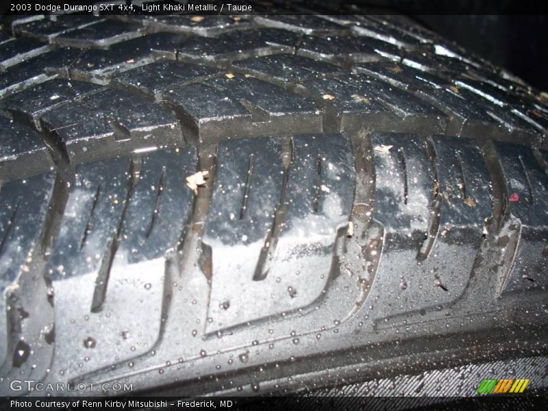 Light Khaki Metallic / Taupe 2003 Dodge Durango SXT 4x4