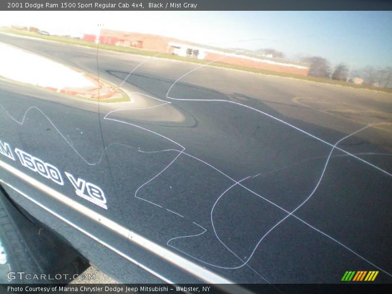 Black / Mist Gray 2001 Dodge Ram 1500 Sport Regular Cab 4x4