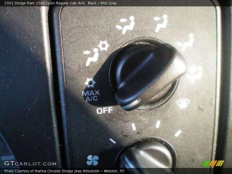 Black / Mist Gray 2001 Dodge Ram 1500 Sport Regular Cab 4x4