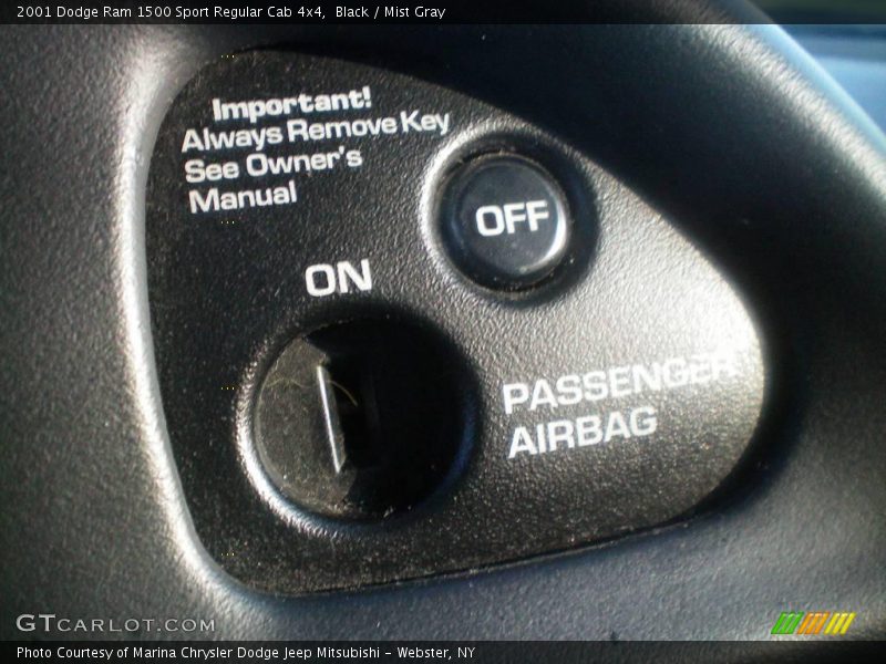 Black / Mist Gray 2001 Dodge Ram 1500 Sport Regular Cab 4x4