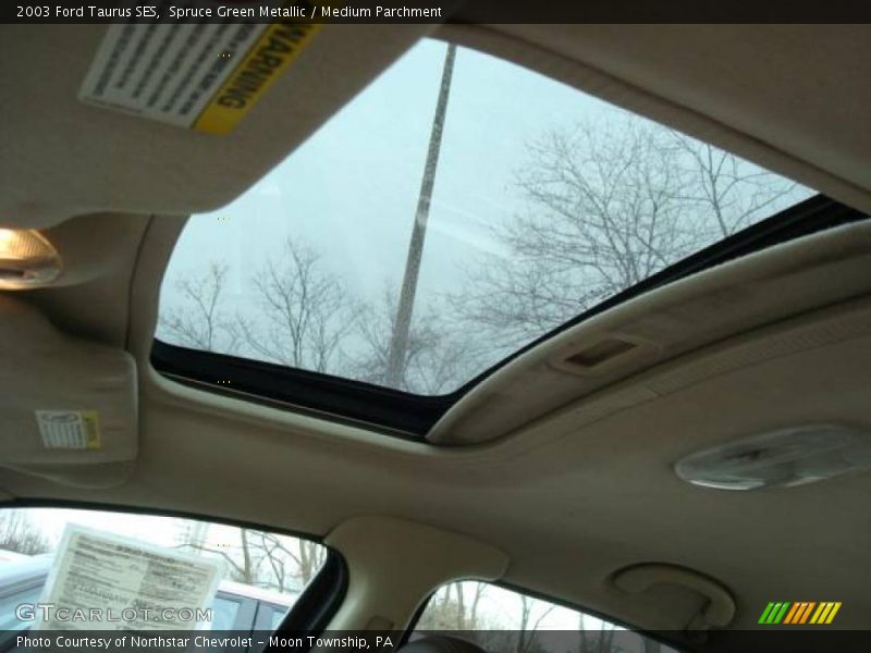 Spruce Green Metallic / Medium Parchment 2003 Ford Taurus SES