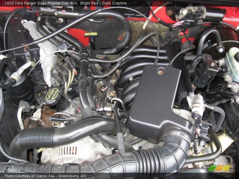 Bright Red / Dark Graphite 2002 Ford Ranger Edge Regular Cab 4x4