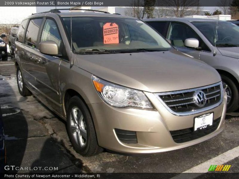 Blonde Maple / Gobi Beige 2009 Volkswagen Routan SE