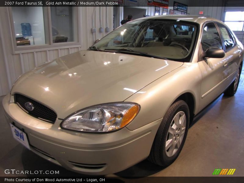 Gold Ash Metallic / Medium/Dark Pebble 2007 Ford Taurus SE
