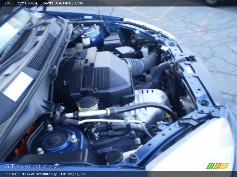 Spectra Blue Mica / Gray 2003 Toyota RAV4