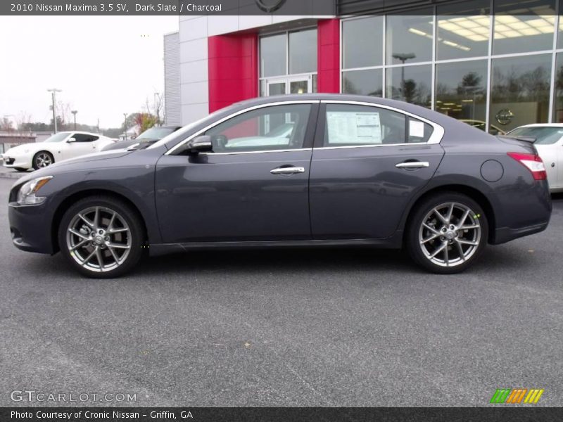 Dark Slate / Charcoal 2010 Nissan Maxima 3.5 SV