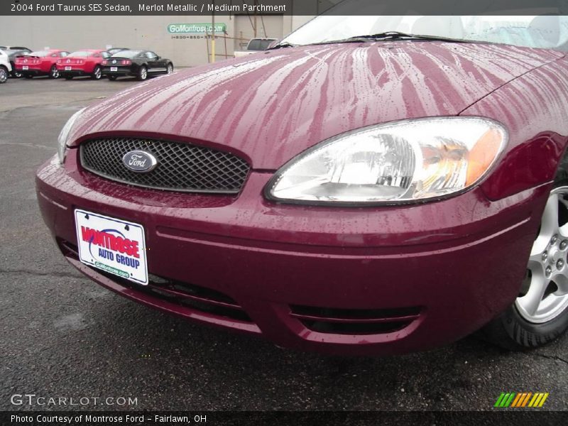 Merlot Metallic / Medium Parchment 2004 Ford Taurus SES Sedan