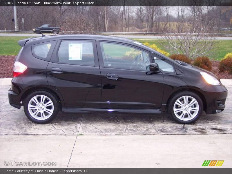 Blackberry Pearl / Sport Black 2009 Honda Fit Sport