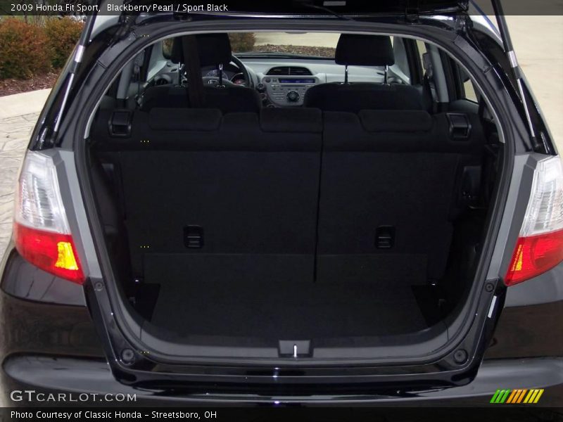 Blackberry Pearl / Sport Black 2009 Honda Fit Sport