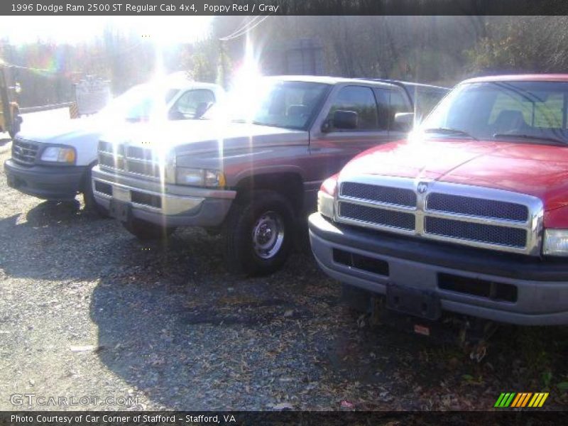 Poppy Red / Gray 1996 Dodge Ram 2500 ST Regular Cab 4x4