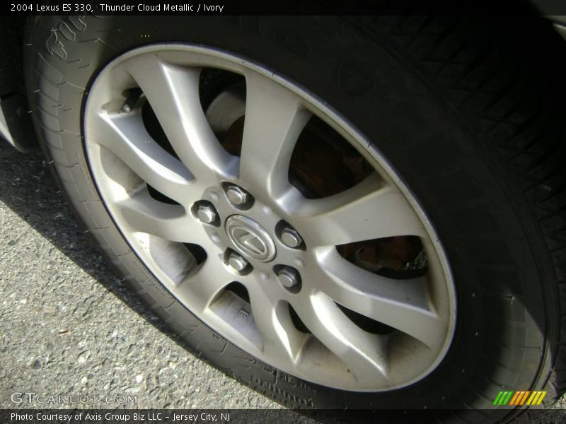 Thunder Cloud Metallic / Ivory 2004 Lexus ES 330