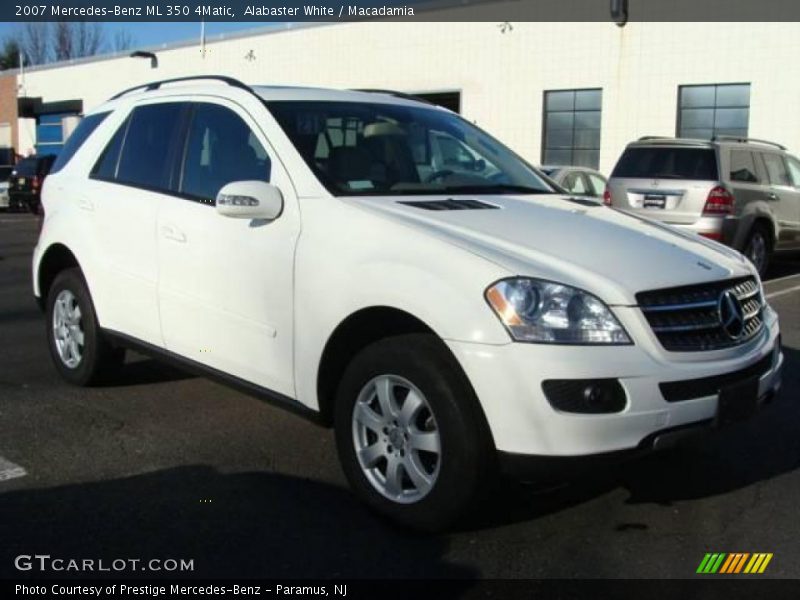 Alabaster White / Macadamia 2007 Mercedes-Benz ML 350 4Matic