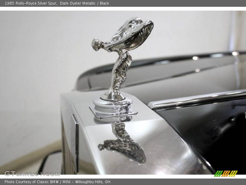 Dark Oyster Metallic / Black 1985 Rolls-Royce Silver Spur