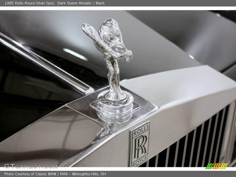 Dark Oyster Metallic / Black 1985 Rolls-Royce Silver Spur