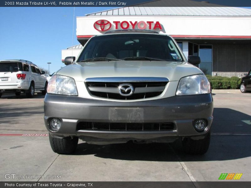 Pebble Ash Metallic / Dark Flint Gray 2003 Mazda Tribute LX-V6