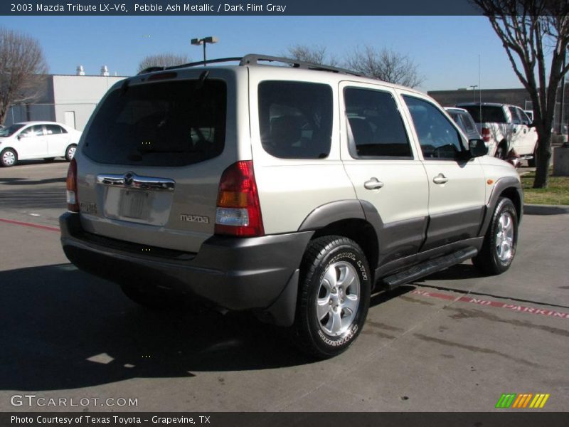 Pebble Ash Metallic / Dark Flint Gray 2003 Mazda Tribute LX-V6