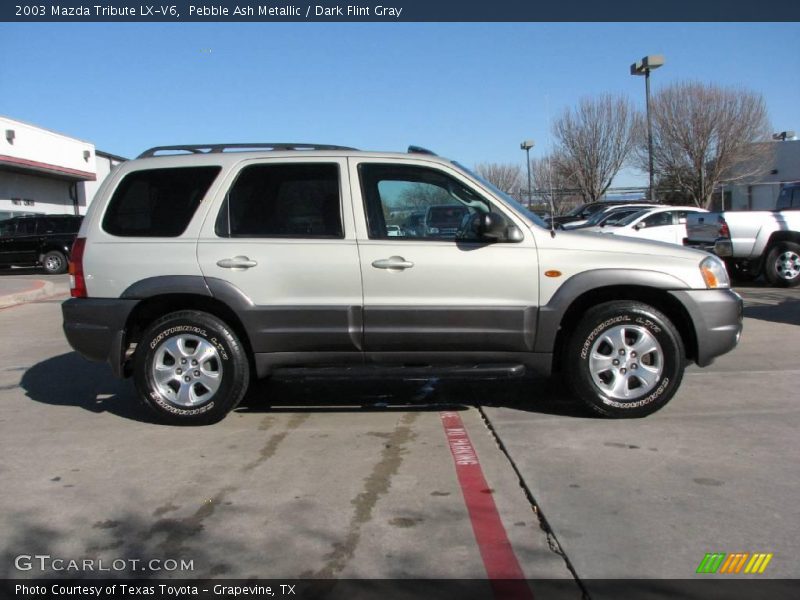 Pebble Ash Metallic / Dark Flint Gray 2003 Mazda Tribute LX-V6