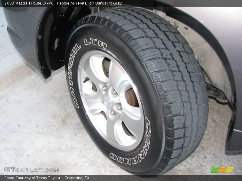 Pebble Ash Metallic / Dark Flint Gray 2003 Mazda Tribute LX-V6