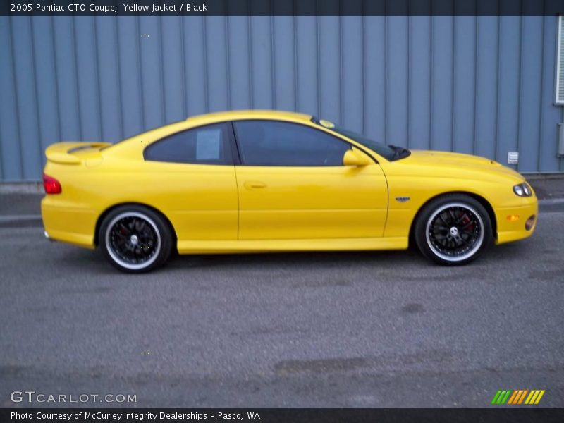 Yellow Jacket / Black 2005 Pontiac GTO Coupe