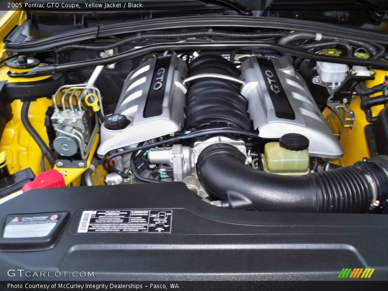 Yellow Jacket / Black 2005 Pontiac GTO Coupe