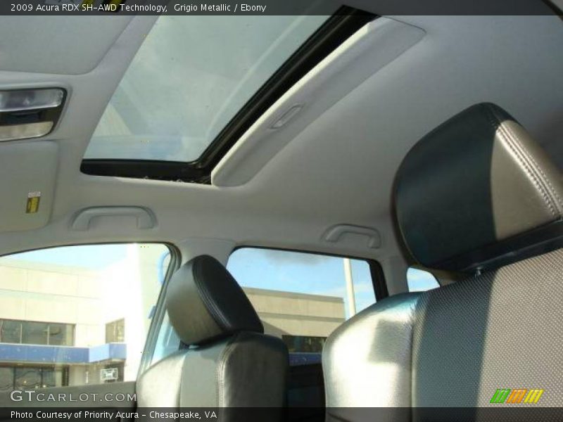 Grigio Metallic / Ebony 2009 Acura RDX SH-AWD Technology