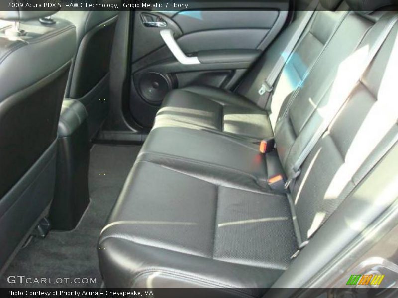 Grigio Metallic / Ebony 2009 Acura RDX SH-AWD Technology