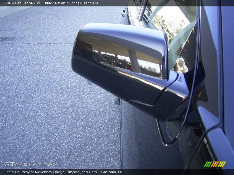 Black Raven / Cocoa/Cashmere 2009 Cadillac SRX V6