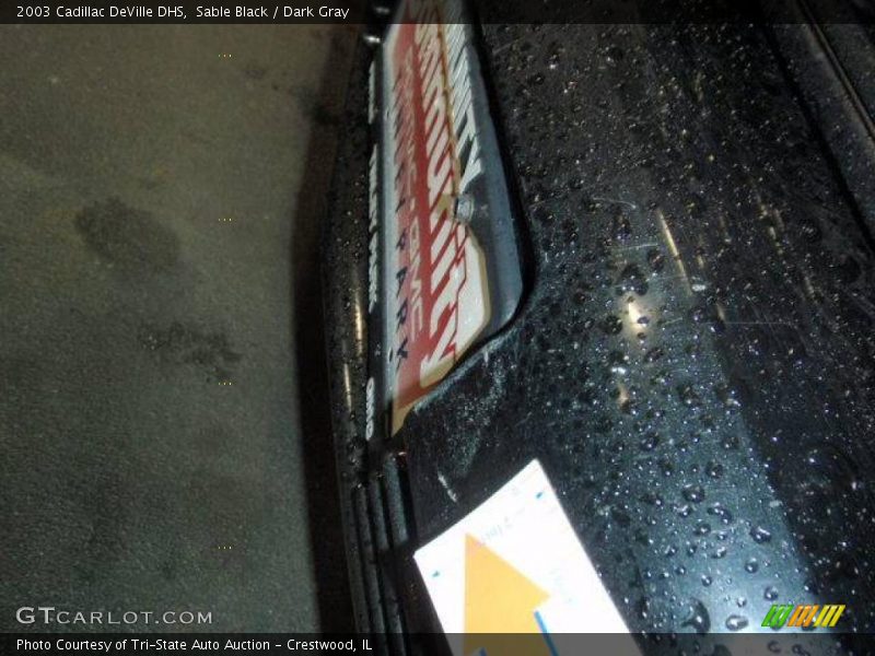 Sable Black / Dark Gray 2003 Cadillac DeVille DHS