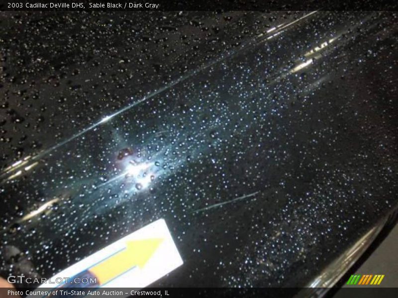 Sable Black / Dark Gray 2003 Cadillac DeVille DHS