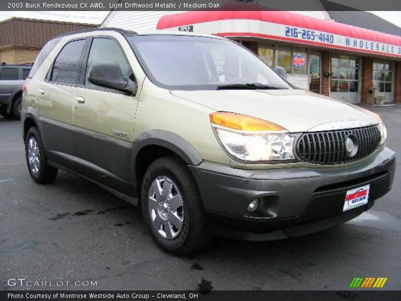 Light Driftwood Metallic / Medium Oak 2003 Buick Rendezvous CX AWD