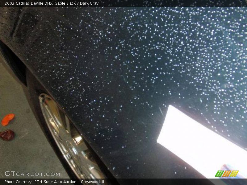Sable Black / Dark Gray 2003 Cadillac DeVille DHS
