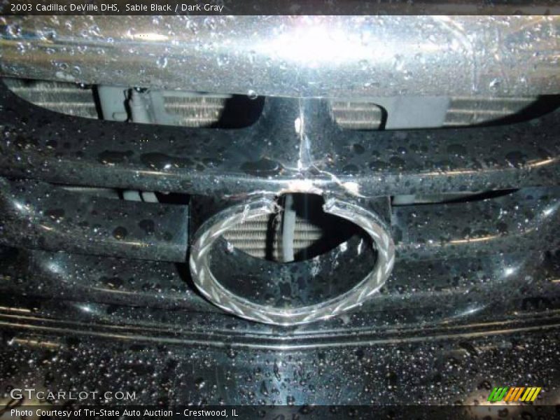 Sable Black / Dark Gray 2003 Cadillac DeVille DHS