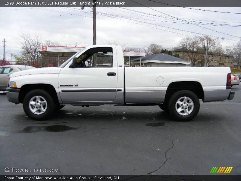 Bright White / Agate Black 1999 Dodge Ram 1500 SLT Regular Cab