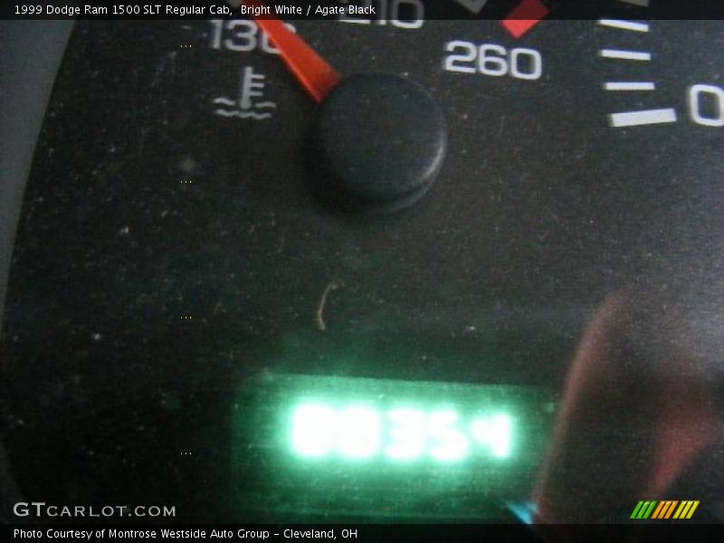 Bright White / Agate Black 1999 Dodge Ram 1500 SLT Regular Cab