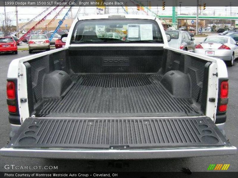 Bright White / Agate Black 1999 Dodge Ram 1500 SLT Regular Cab